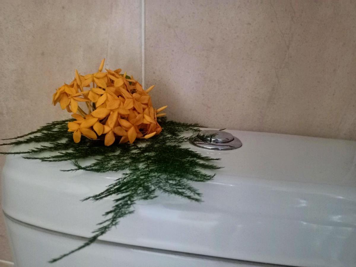 Апартаменти Badamier Self-Catering Ла-Діг Екстер'єр фото